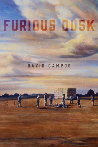 Cover image for Furious Dusk