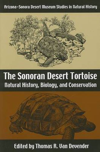 Cover image for The Sonoran Desert Tortoise: Natural History, Biology, and Conservation