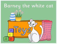 Cover image for Barney the white cat