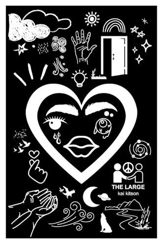 Cover image for The Large