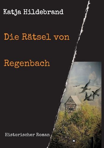 Cover image for Die Ratsel von Regenbach: Historischer Roman