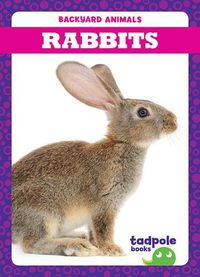 Cover image for Rabbits