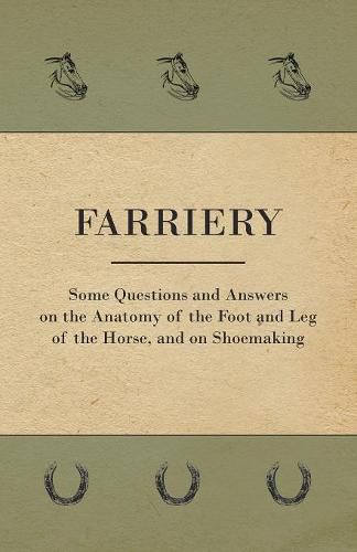 Cover image for Farriery - Some Questions and Answers on the Anatomy of the Foot and Leg of the Horse, and on Shoemaking