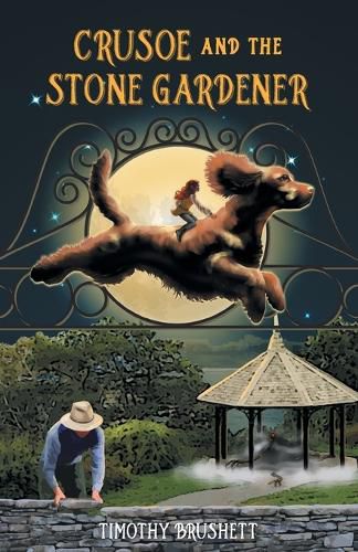 Cover image for Crusoe and the Stone Gardener