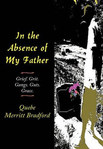 Cover image for In the Absence of My Father