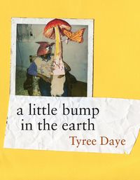 Cover image for a little bump in the earth