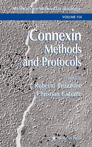 Cover image for Connexin Methods and Protocols