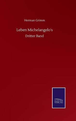 Cover image for Leben Michelangelo's: Dritter Band