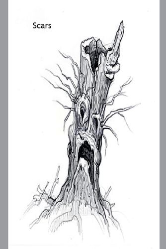 Cover image for Scars