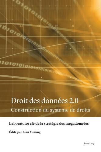 Cover image for Droit Des Donnees 2.0: Construction Du Systeme de Droits
