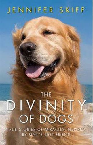 Cover image for The Divinity of Dogs