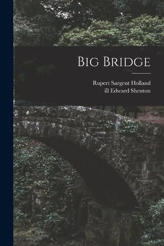 Cover image for Big Bridge