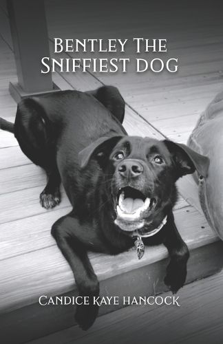 Cover image for Bentley The Sniffiest Dog