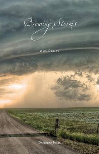 Cover image for Brewing Storms