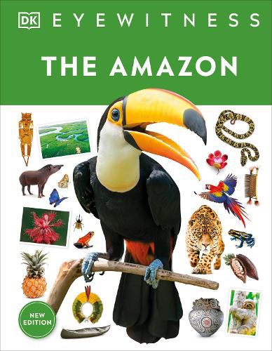 Cover image for The Amazon