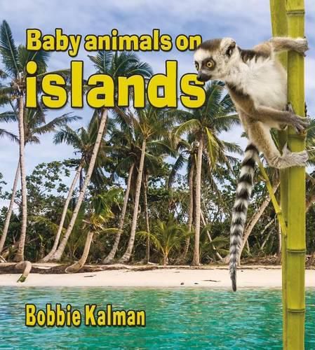 Cover image for Baby Animals on Islands