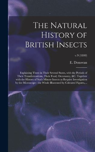 Cover image for The Natural History of British Insects