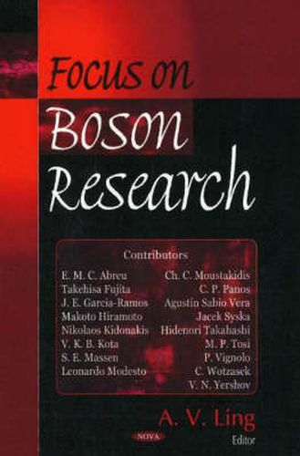 Cover image for Focus on Boson Research