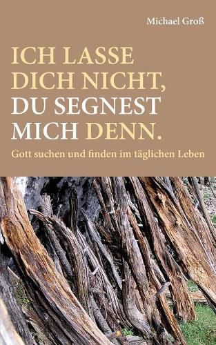 Ich lasse dich nicht, du segnest mich denn.: Gott suchen und finden im taglichen Leben