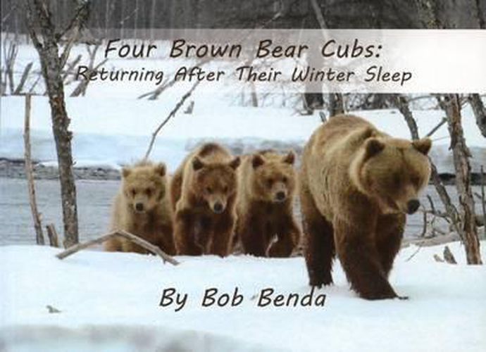 Cover image for Four Brown Bear Cubs: Returning After Their Winter Sleep