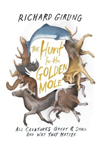 Cover image for The Hunt for the Golden Mole: All Creatures Great & Small and Why They Matter