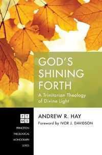 Cover image for God's Shining Forth: A Trinitarian Theology of Divine Light
