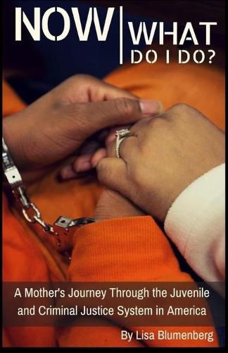 Cover image for Now What Do I Do?: A Mother's Journey Through the Juvenile and Criminal Justice System in America