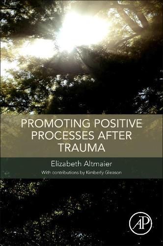 Cover image for Promoting Positive Processes after Trauma