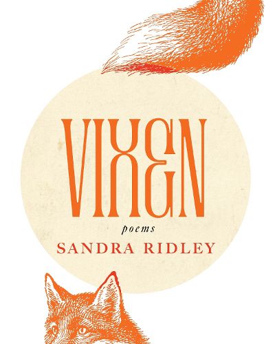 Cover image for Vixen