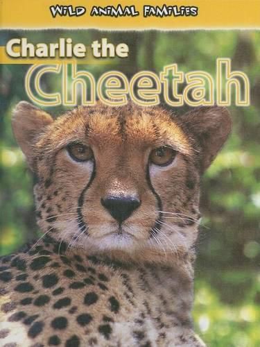 Cover image for Charlie the Cheetah