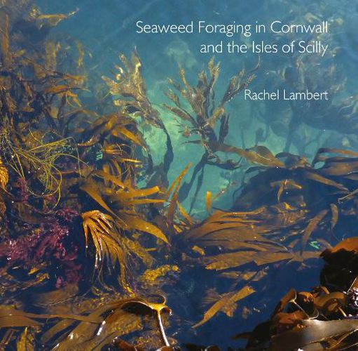 Cover image for Seaweed Foraging in Cornwall and the Isles of Scilly