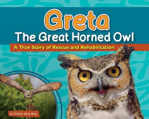 Cover image for Greta the Great Horned Owl: A True Story of Rescue and Rehabilitation