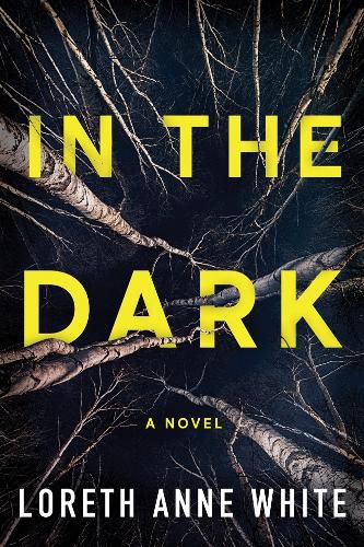 Cover image for In the Dark