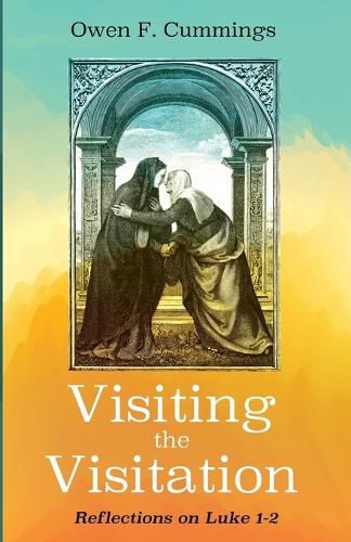 Cover image for Visiting the Visitation