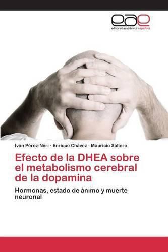 Cover image for Efecto de la DHEA sobre el metabolismo cerebral de la dopamina