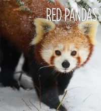 Cover image for Red Pandas