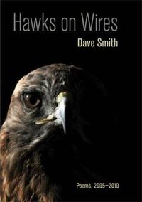 Cover image for Hawks on Wires: Poems, 2005-2010