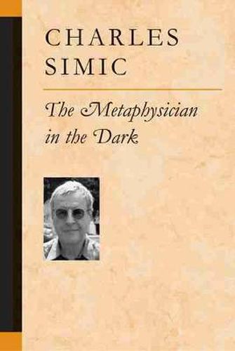 Cover image for The Metaphysician in the Dark