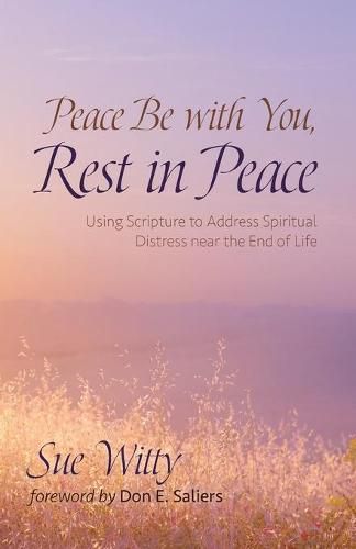 Cover image for Peace Be with You, Rest in Peace: Using Scripture to Address Spiritual Distress Near the End of Life