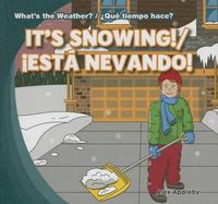 Cover image for It's Snowing! / !Esta Nevando!