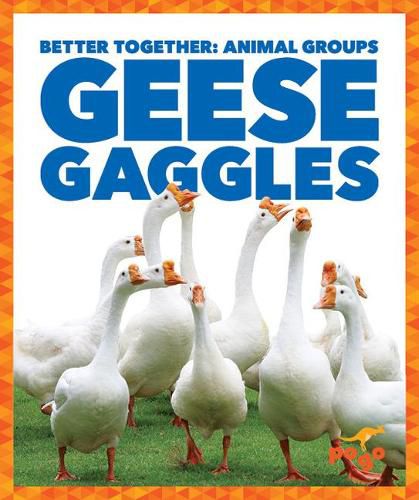 Cover image for Geese Gaggles