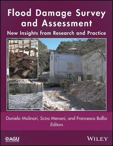 Cover image for Flood Damage Survey and Assessment: New Insights from Research and Practice