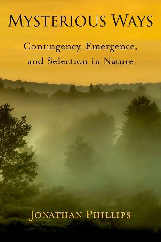 Cover image for Mysterious Ways