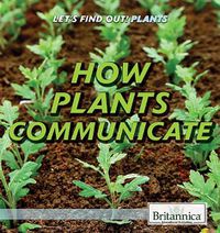 Cover image for How Plants Communicate