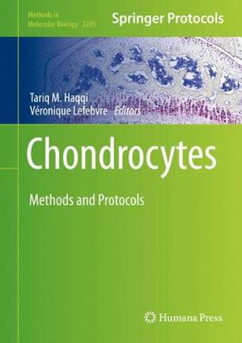 Cover image for Chondrocytes: Methods and Protocols