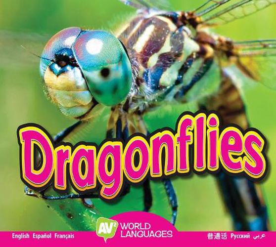 Dragonflies