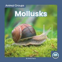 Cover image for Mollusks