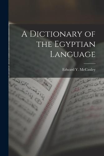 Cover image for A Dictionary of the Egyptian Language