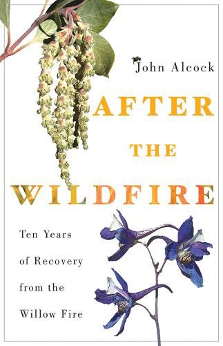 Cover image for After the Wildfire: Ten Years of Recovery from the Willow Fire