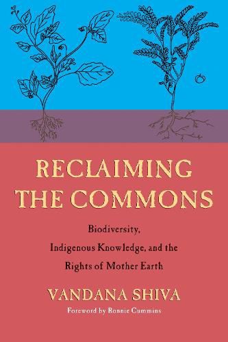 Cover image for Reclaiming the Commons: Biodiversity, Traditional Knowledge, and the Rights of Mother Earth